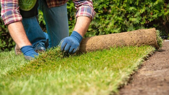Home Decor and Garden